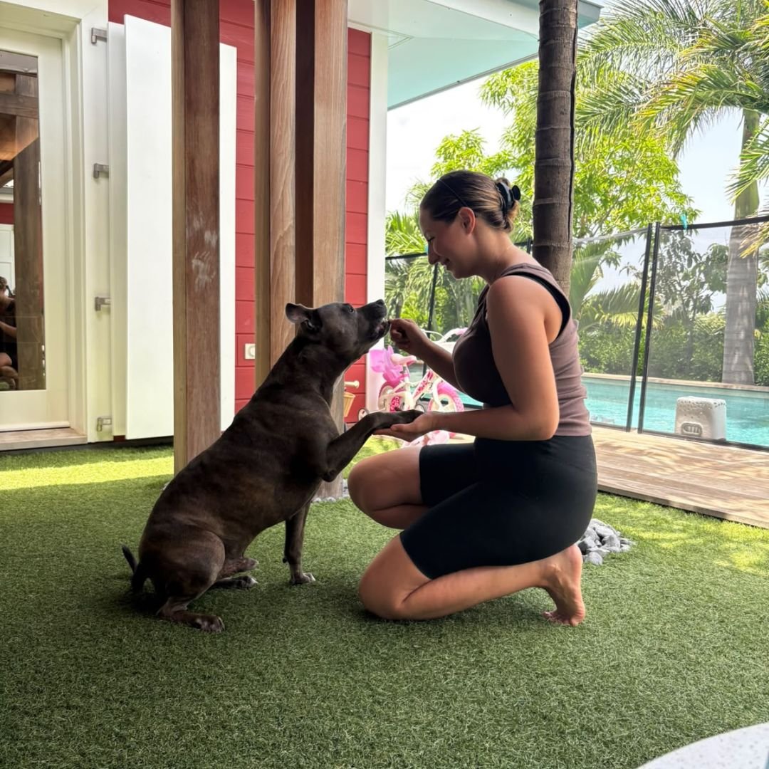 Balade canine dans les paysages de Saint-Barthélemy