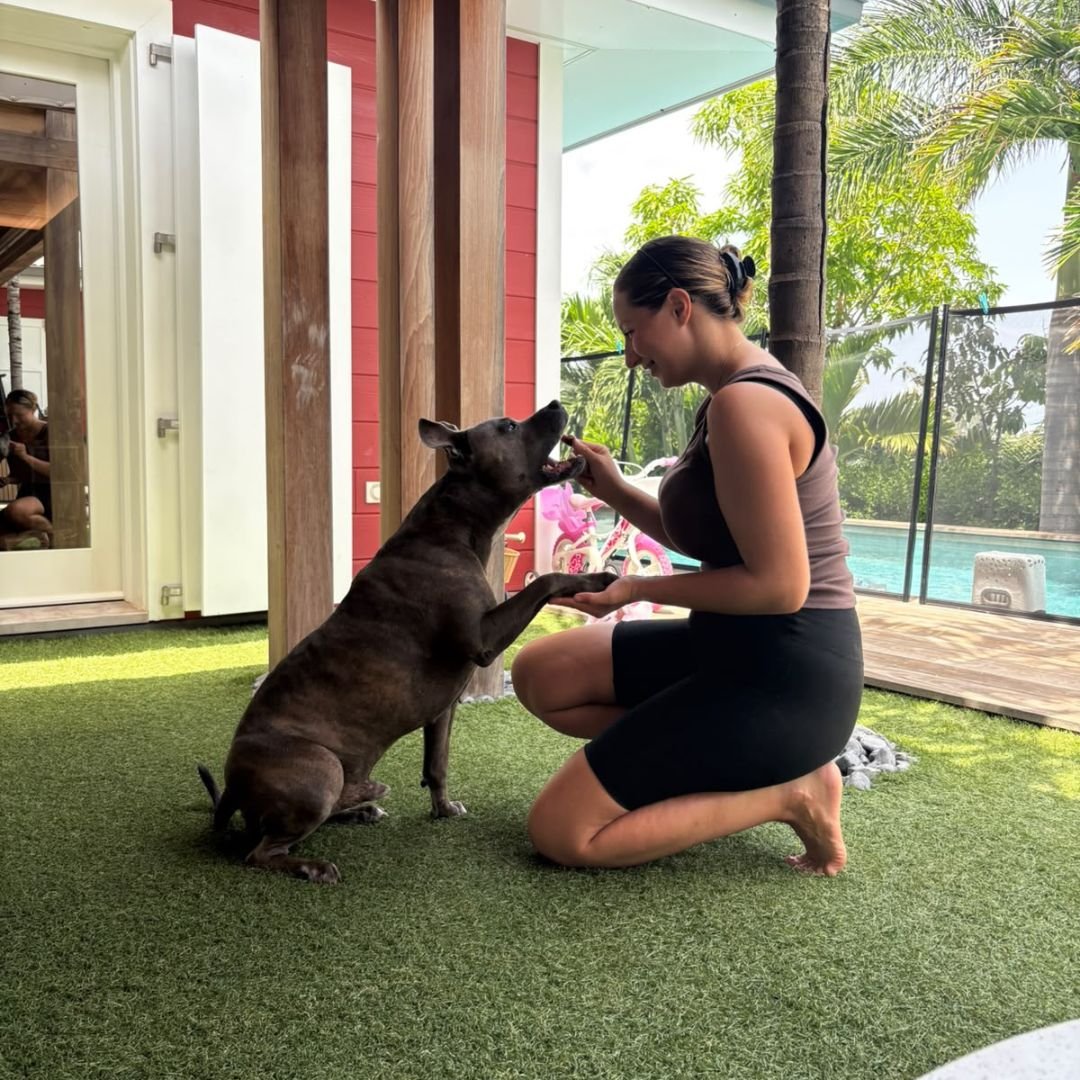 Moment de détente et bien-être pour chien à Saint-Barth