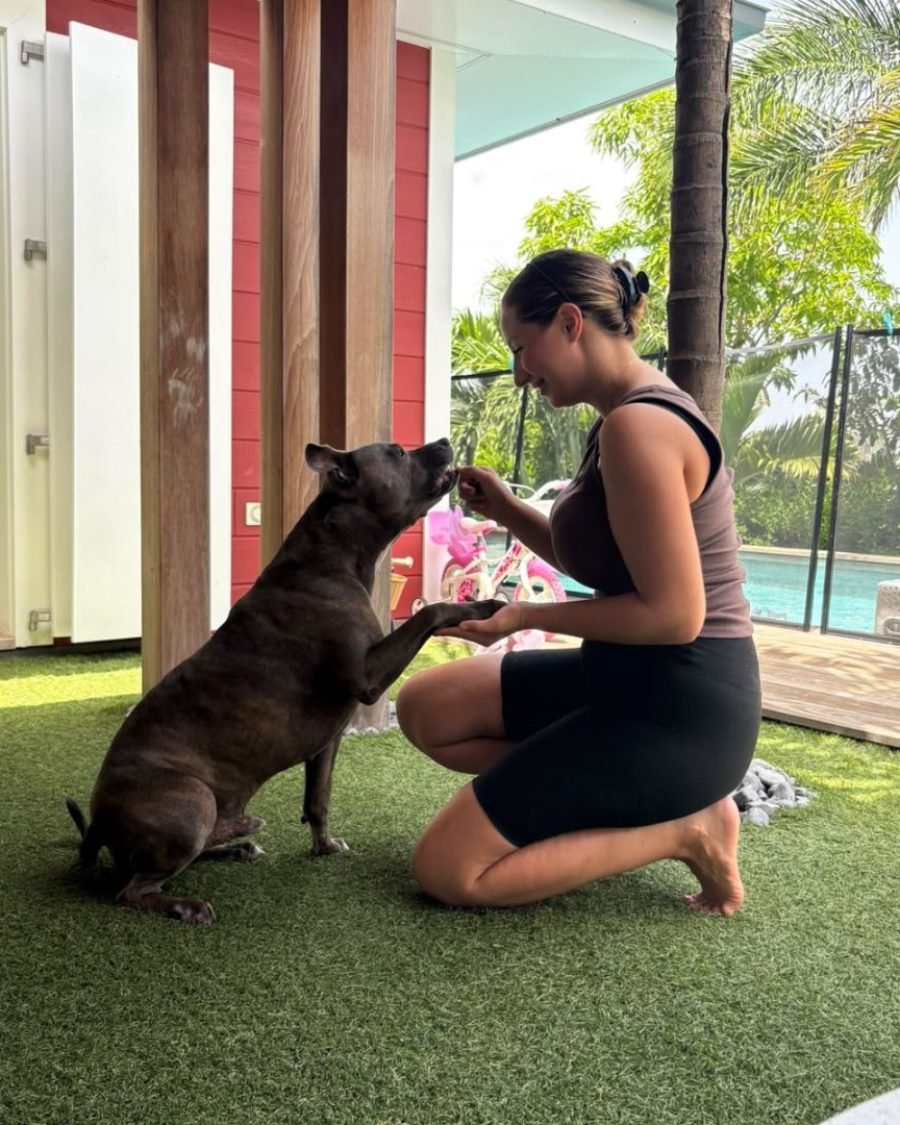 Balade canine dans les paysages de Saint-Barthélemy